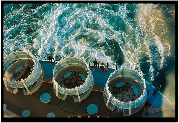 Ultimate UK Camping Handbook: Expert Tips for Capturing Stunning Bird Photos in Nature